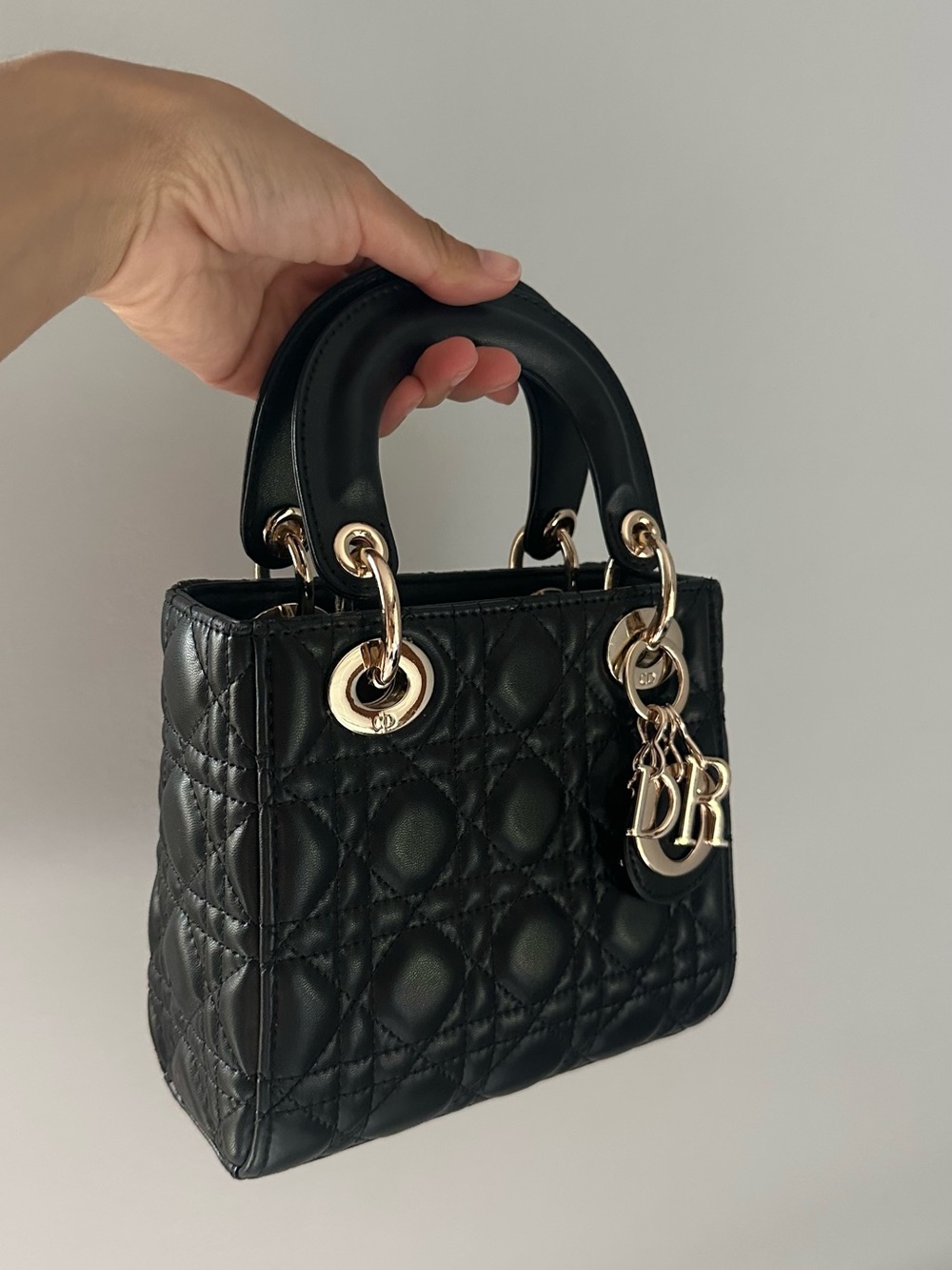 Luxury Handbag